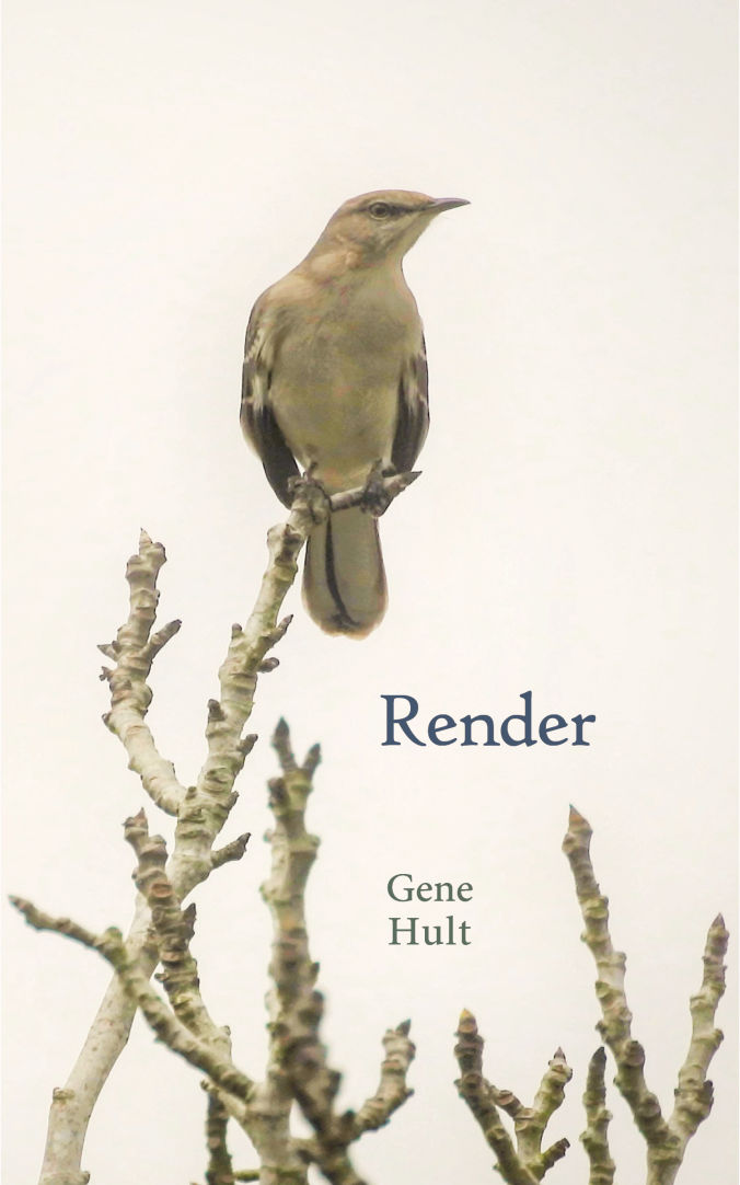 Render, poetry by Gene Hult cover